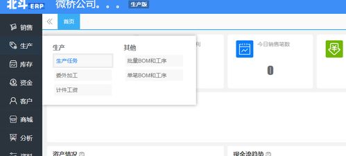 软件只是开始，服务才是根本——北斗ERP在深圳的商务软件服务之道